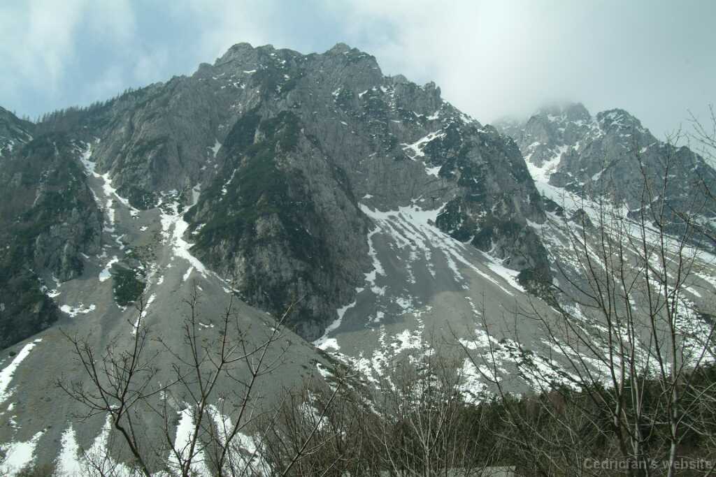 DSCF7899