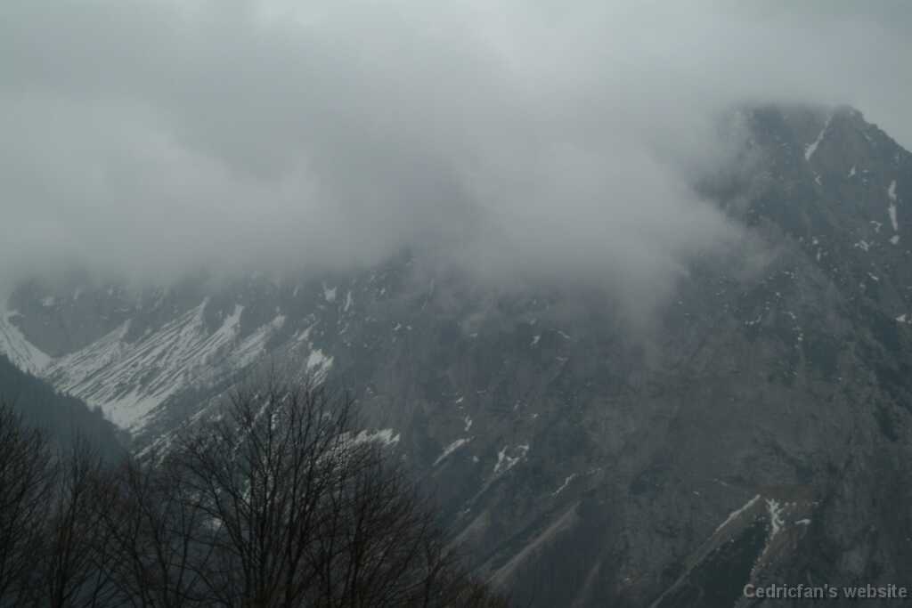 DSCF7966