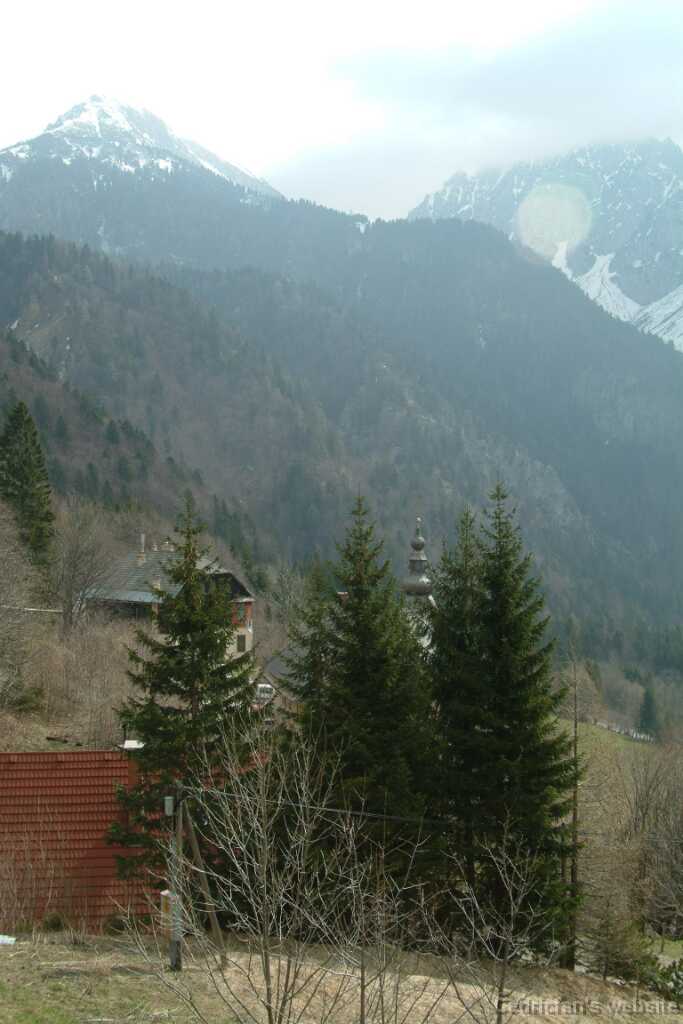 Dscf7901