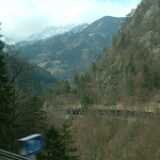 DSCF7885