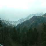 DSCF7888