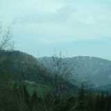 DSCF7892
