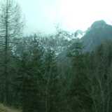 DSCF7895