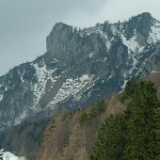 DSCF7898