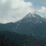 DSCF7903