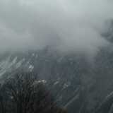 DSCF7966