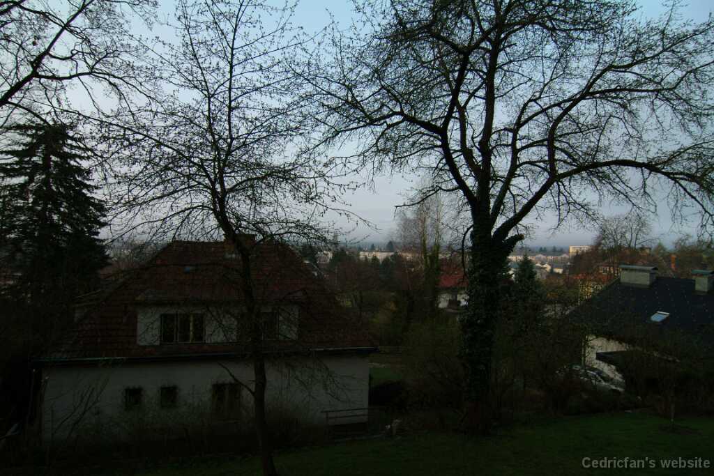 DSCF7763