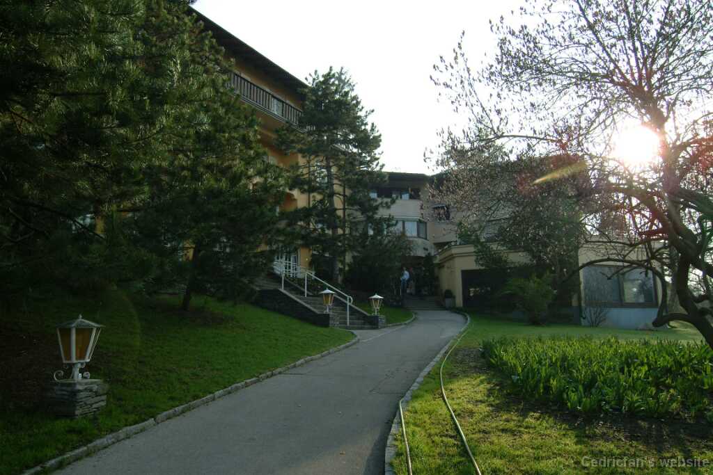 DSCF7774