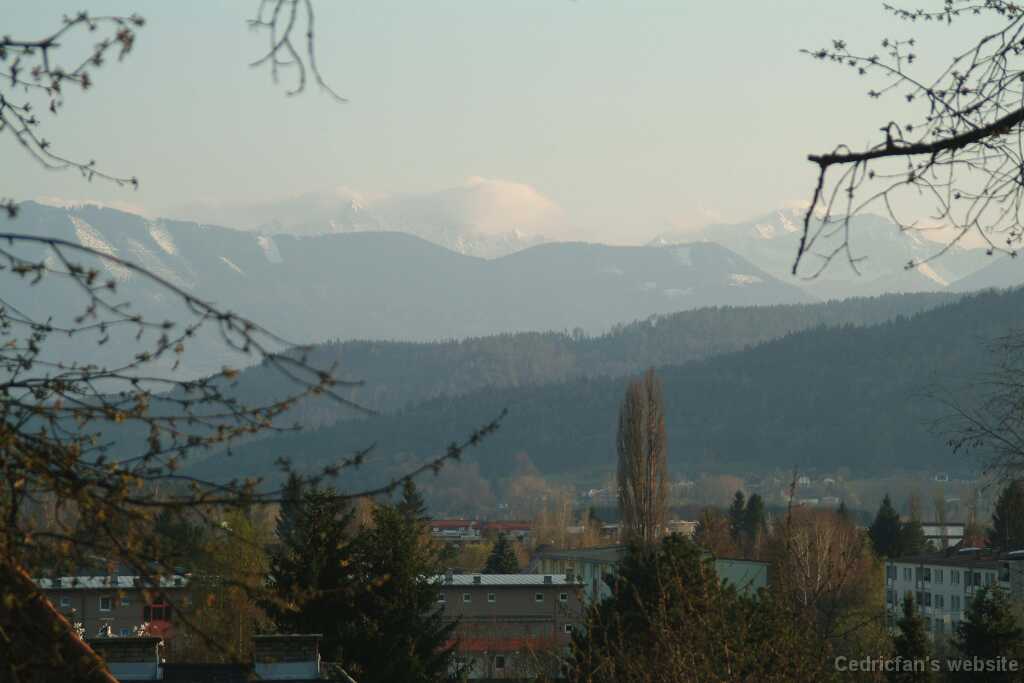 DSCF7882a