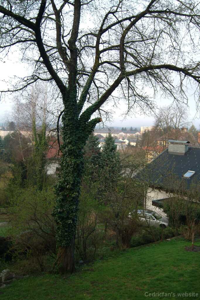 Dscf7764