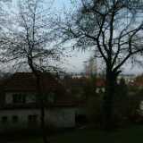 DSCF7763