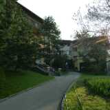 DSCF7774