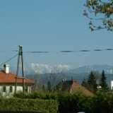 DSCF7880