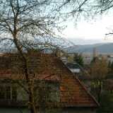 DSCF7881