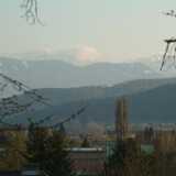 DSCF7882a
