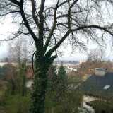 Dscf7764
