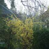 Dscf7767