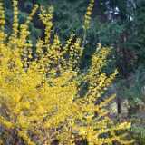 Dscf7773