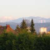 IMG_1728a