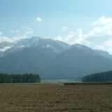 DSCF7867