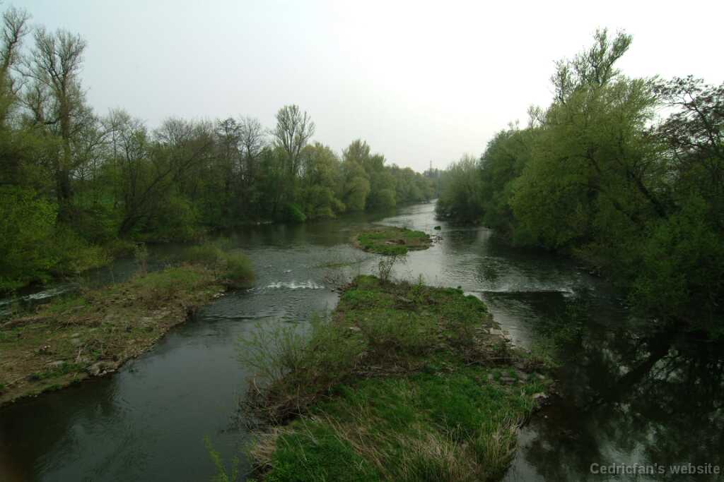 DSCF8008