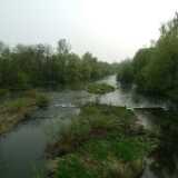 DSCF8008