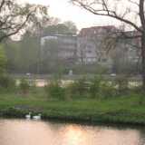 IMG_1755
