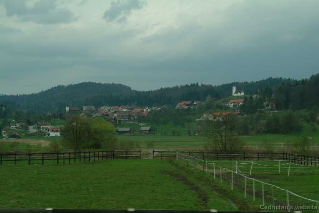 DSCF7916