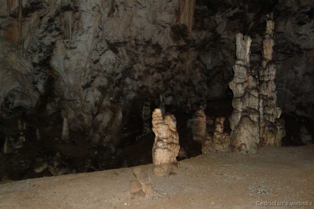 DSCF7945