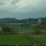 DSCF7916