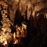 DSCF7949