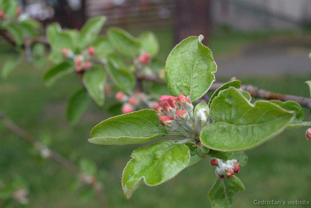 DSCF8428