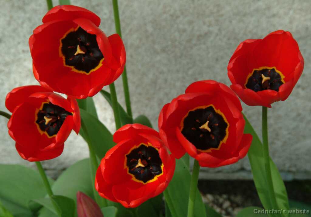 Dscf8410