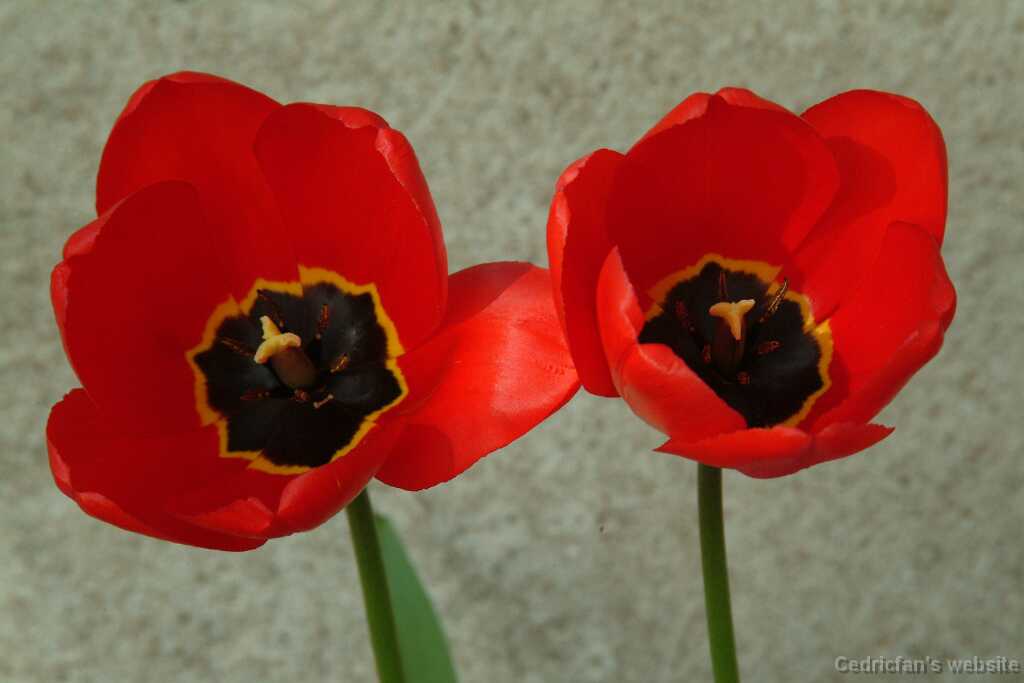 Dscf8412