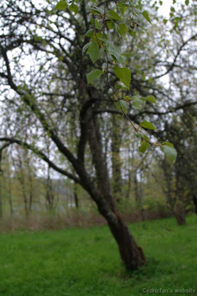 Dscf8416