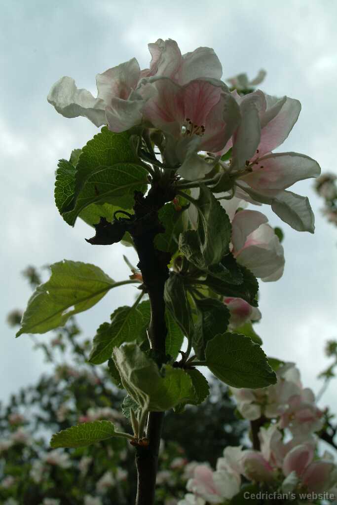 Dscf8636