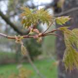 DSCF8417