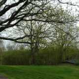 DSCF8420