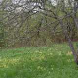DSCF8423