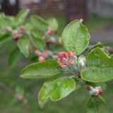 DSCF8428