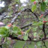 DSCF8430