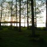DSCF8433