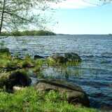 DSCF8614