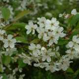 DSCF8640