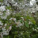 DSCF8643