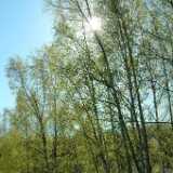 Dscf8305