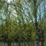 Dscf8307