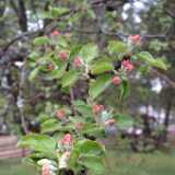 Dscf8429