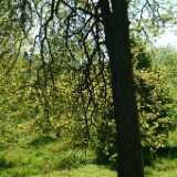 Dscf8613