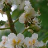 Dscf8649